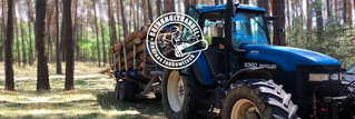Traktor zum Transport von Baumstämmen in einem Waldstück